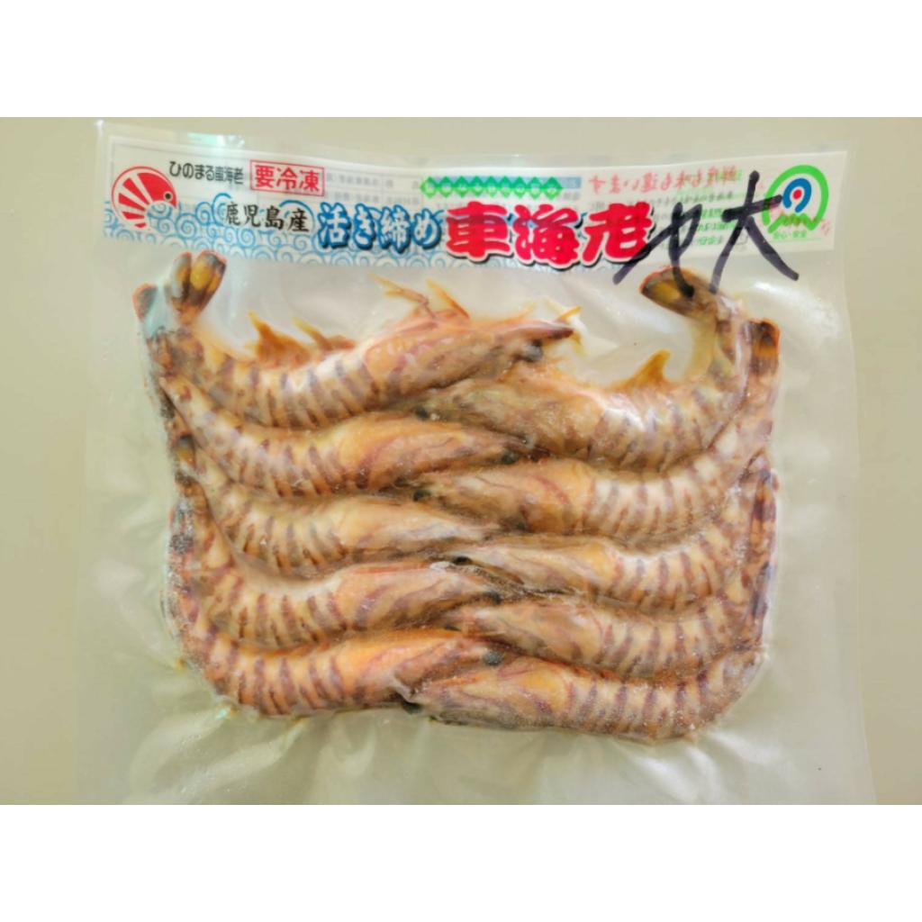 活き〆冷凍車海老 ヤワラ大300g×2パック