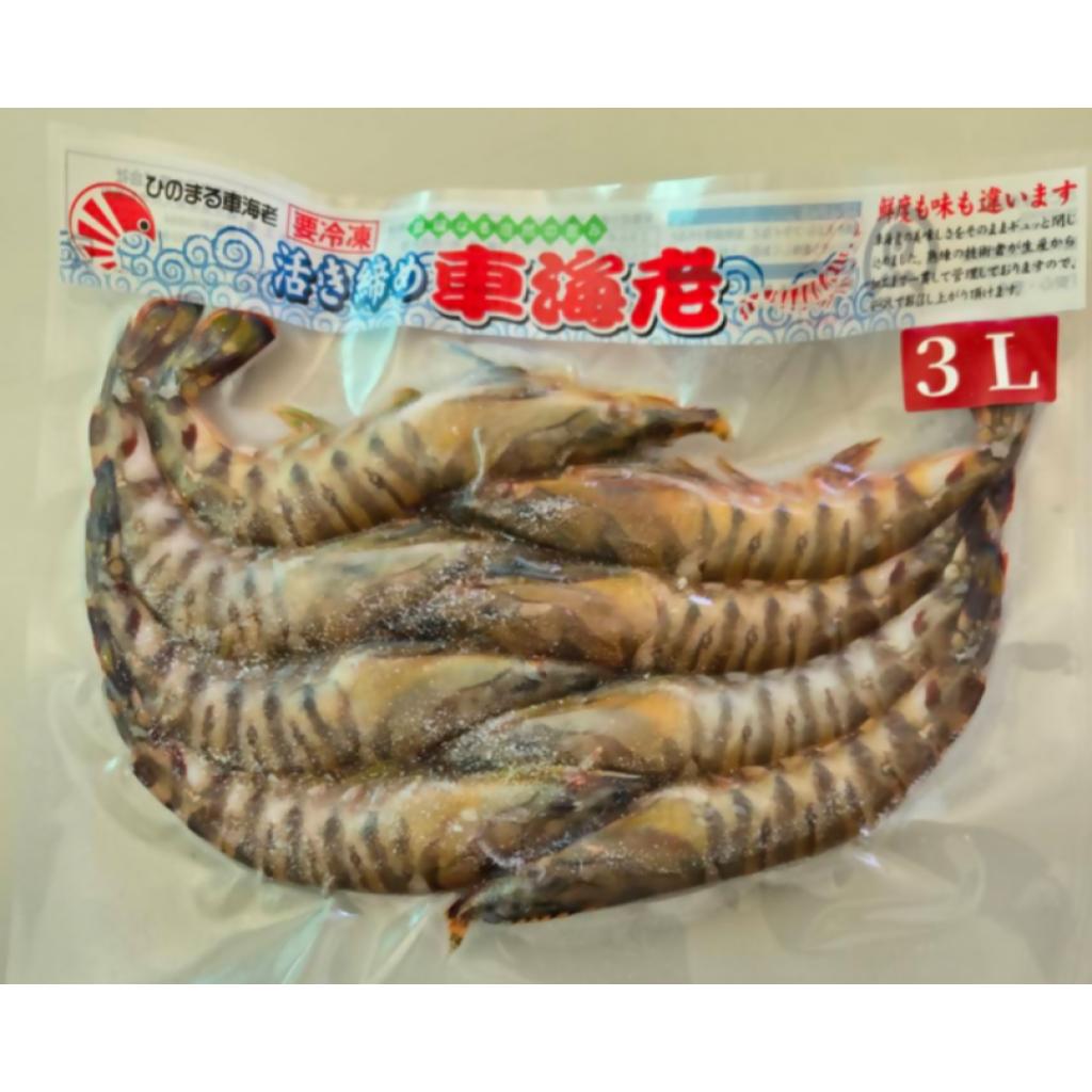 車海老日本 / 活き〆冷凍車海老 ヤワラ3L300g / 消費期限:発送日から2ヶ月