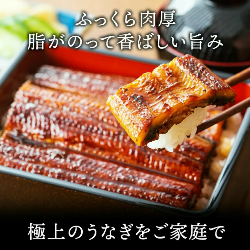 特大鰻2尾(約200g/尾) / 賞味期限冷凍30日