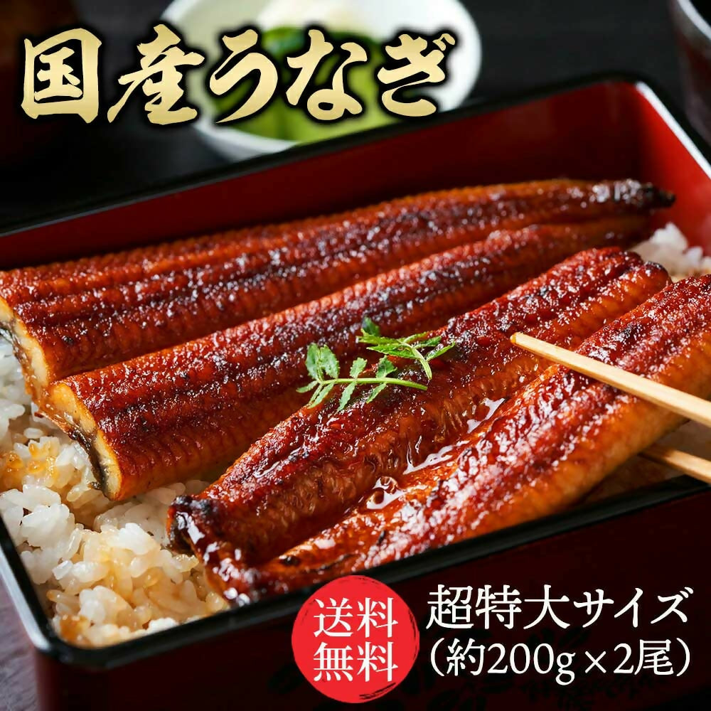 特大鰻2尾(約200g/尾) / 賞味期限冷凍30日