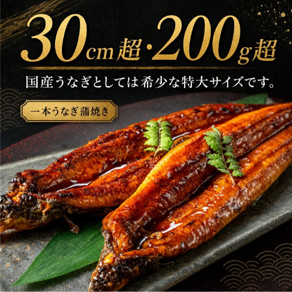 特大鰻2尾(約200g/尾) / 賞味期限冷凍30日