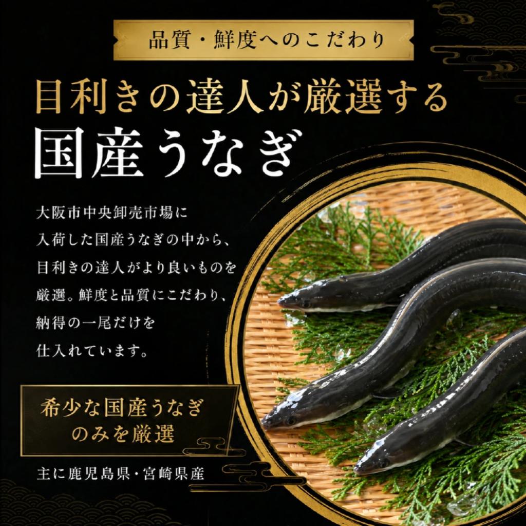 特大鰻3尾(約200g/尾) / 賞味期限冷凍30日