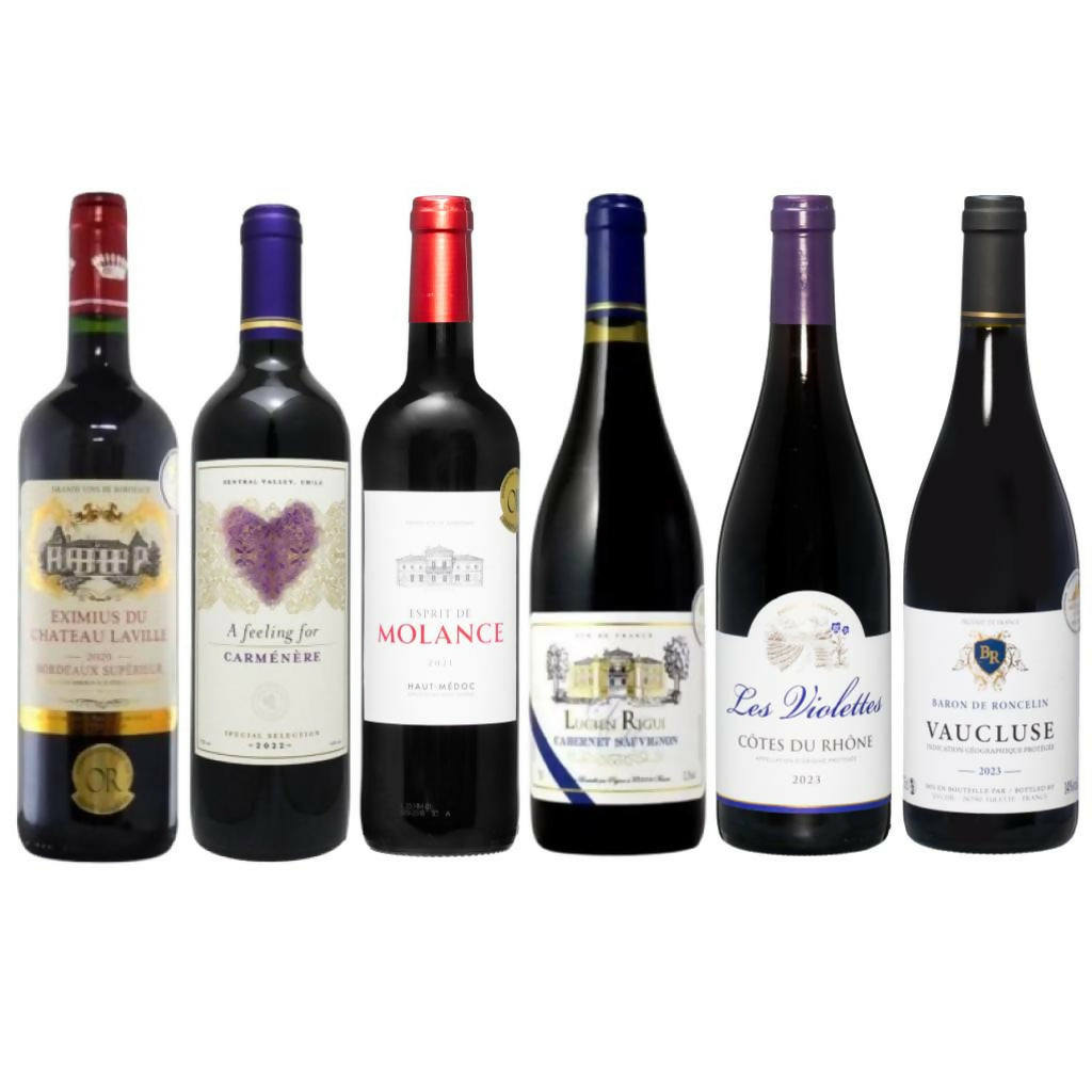 赤ワイン飲み比べ6本セット