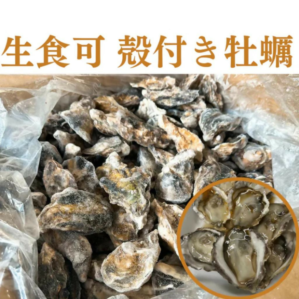 【生食OK】兵庫県産 殻付き牡蠣 冷凍 1kg 約20殻