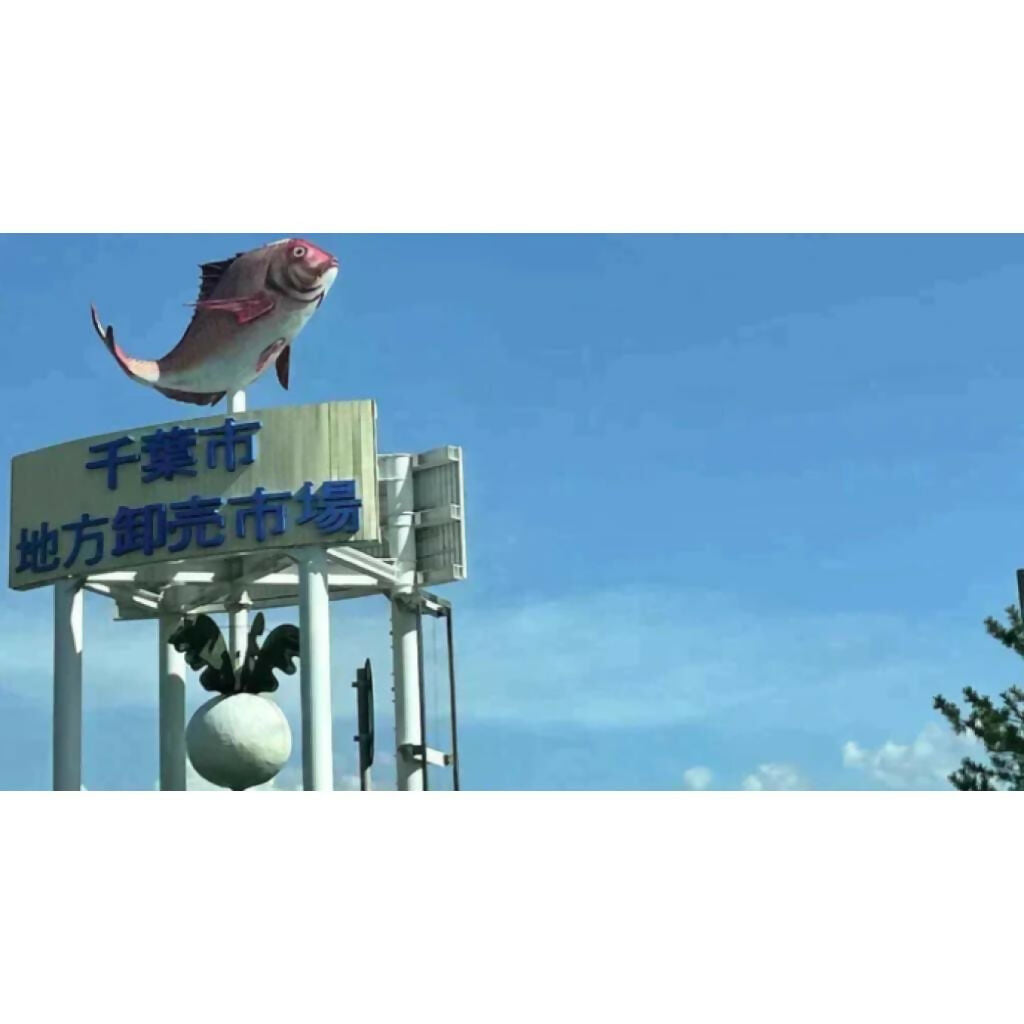 【オーストラリア産】 牛ヒレすじ 1kg