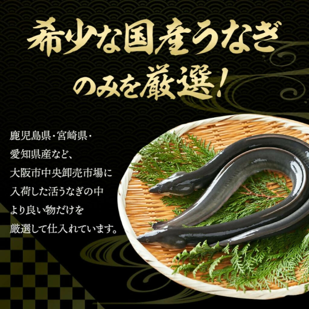 特大鰻4尾（約200g/尾） / 賞味期限冷凍30日
