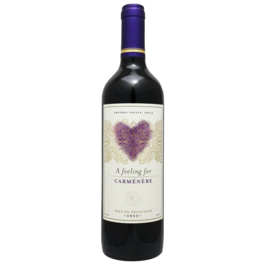 赤ワイン飲み比べ6本セット